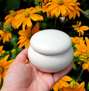 Pet Urn Pet Urn