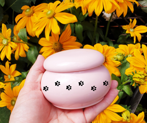 Pet Urn Pet Urn