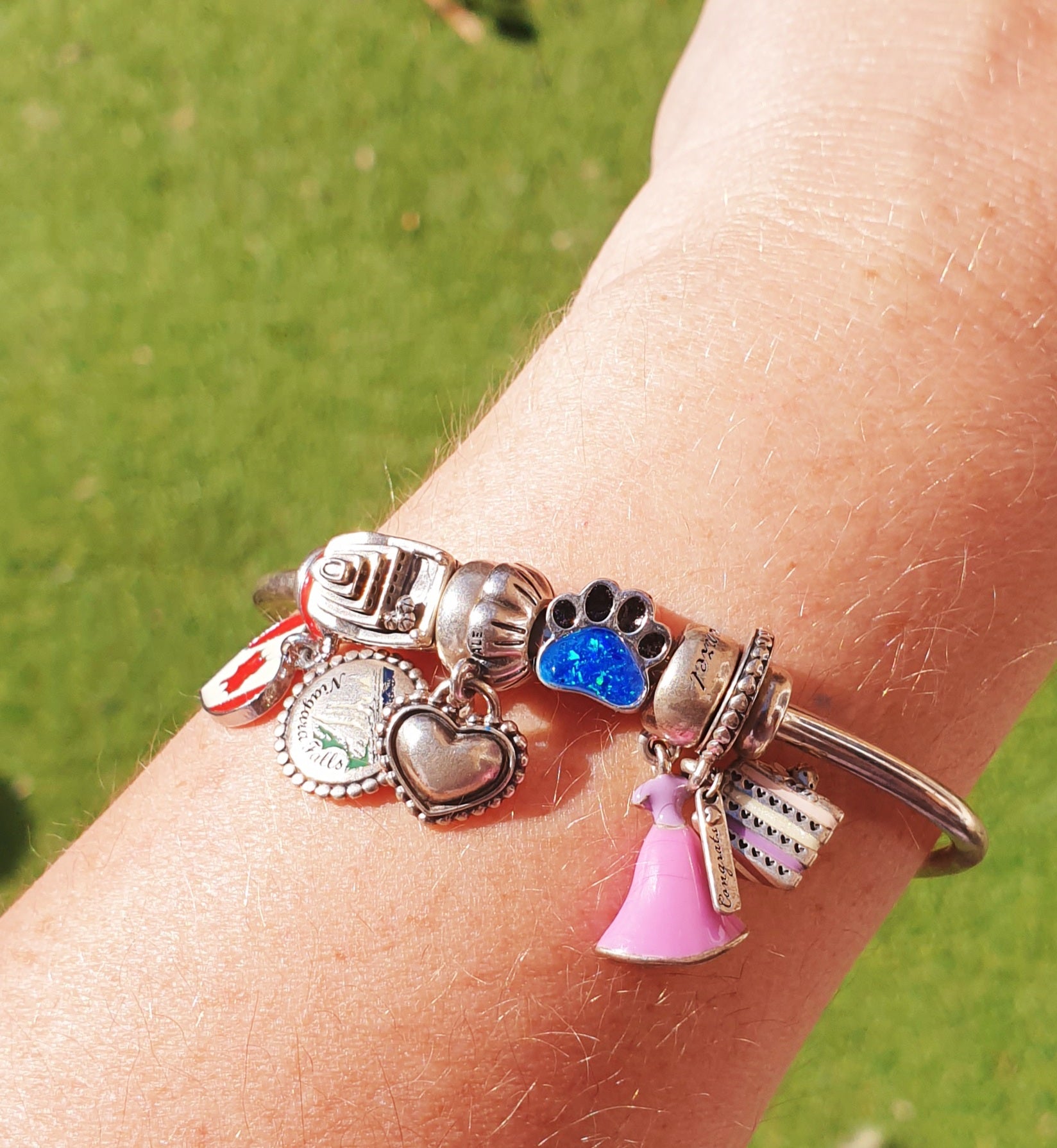 Pandora pet deals memorial charm